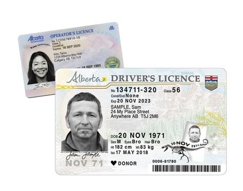 how to renew tndl in calgary|Renew or replace a driver’s licence .